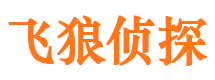 崂山商务调查